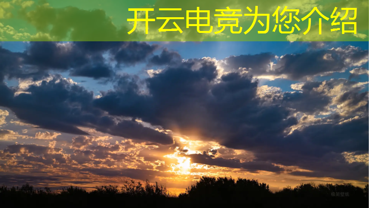开云电竞为您介绍：英雄联盟中国电竞队长