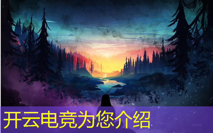 开云电竞为您介绍：中国有哪些电竞赛事比赛
