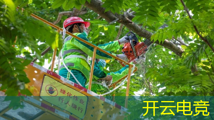 开云电竞：小程序儿童互动游戏怎么玩