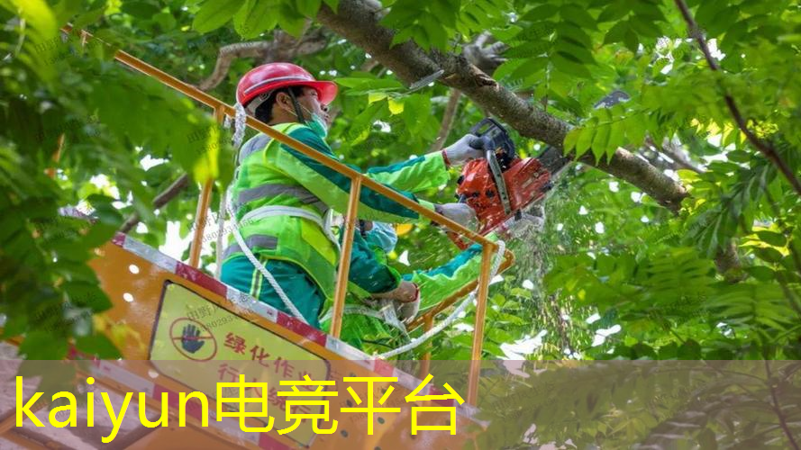 从事游戏策划需要哪些能力