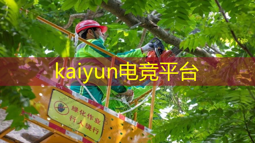 去面试游戏原画穿什么衣服