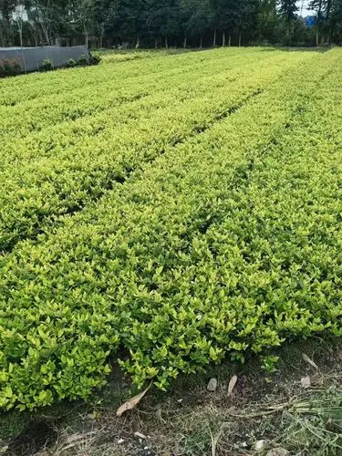 破坏积木3d游戏怎么玩