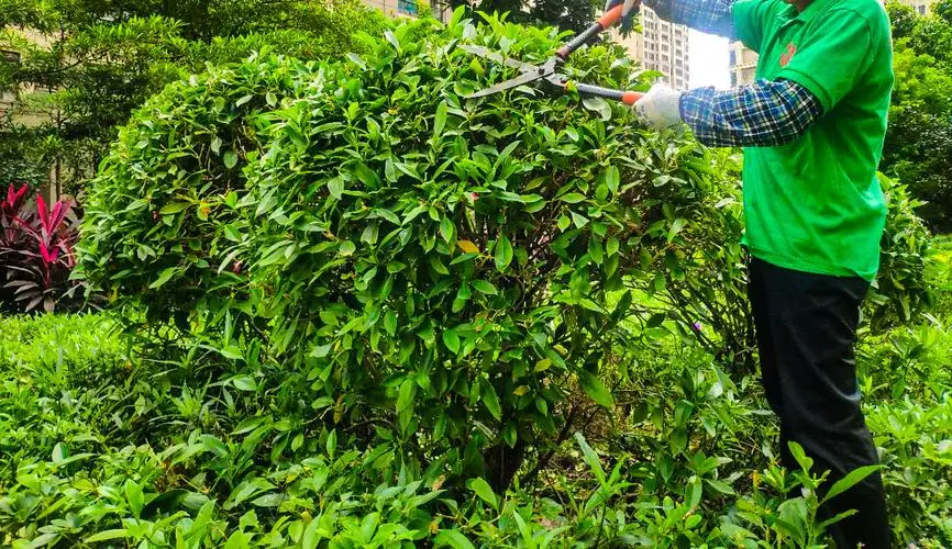 魔法世家小游戏入口小程序