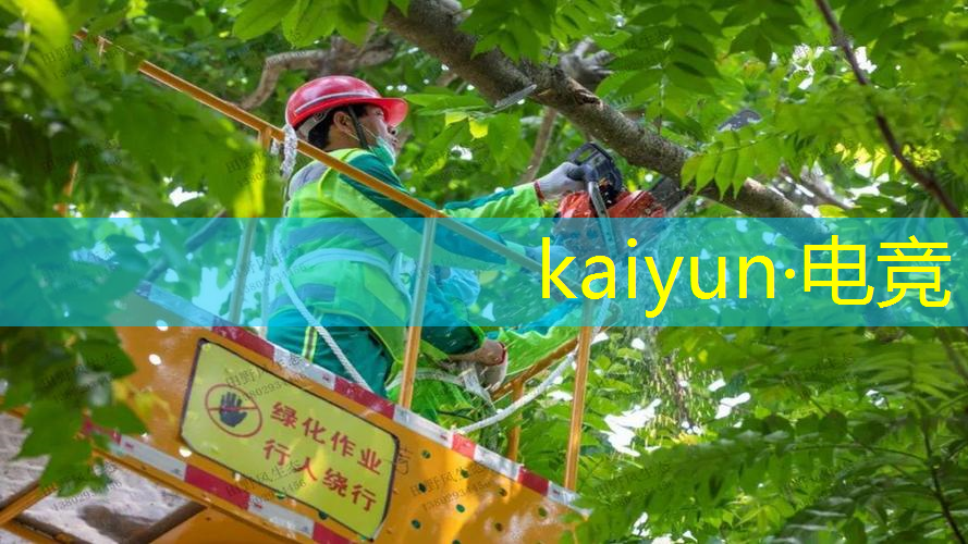 青年电竞大赛：选手福利有哪些？