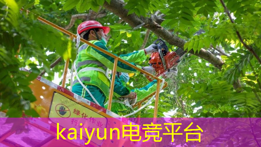 模拟3d游戏的真人
